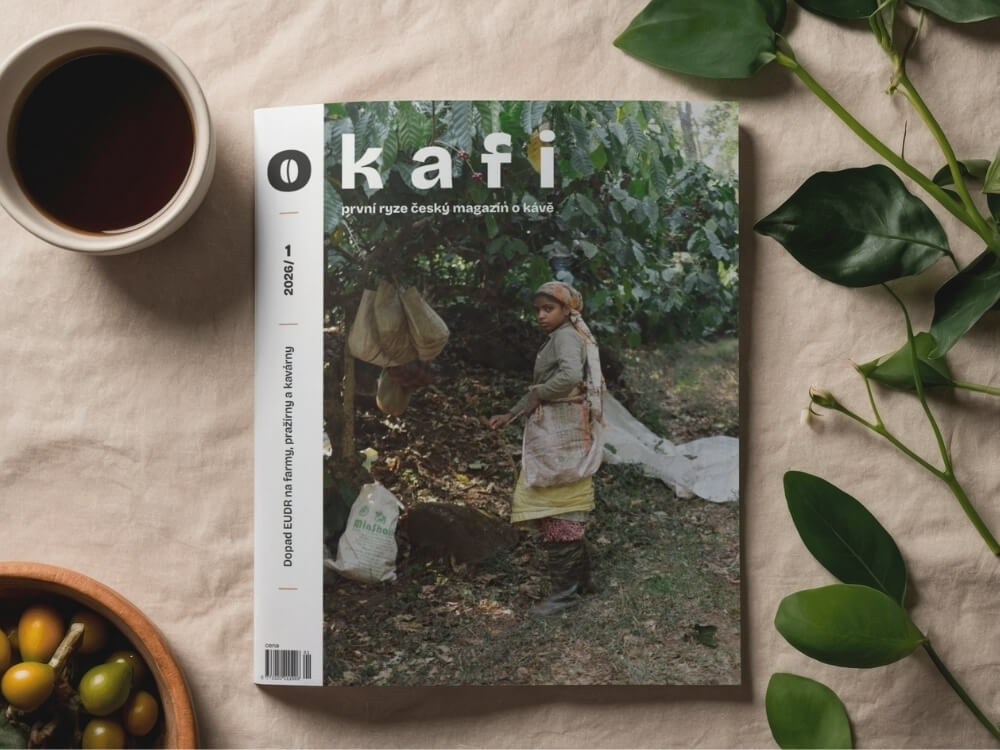 magazín